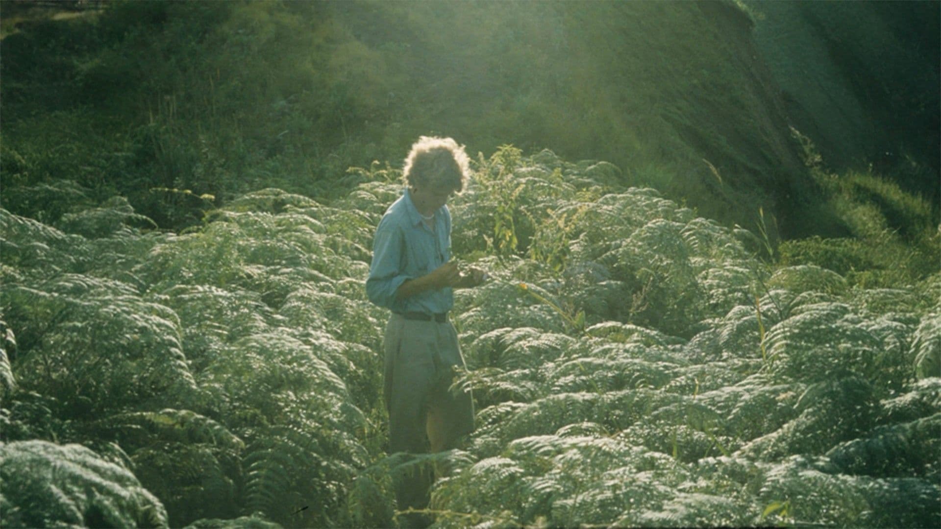 A life shaped by serendipity with anthropologist Wade Davis