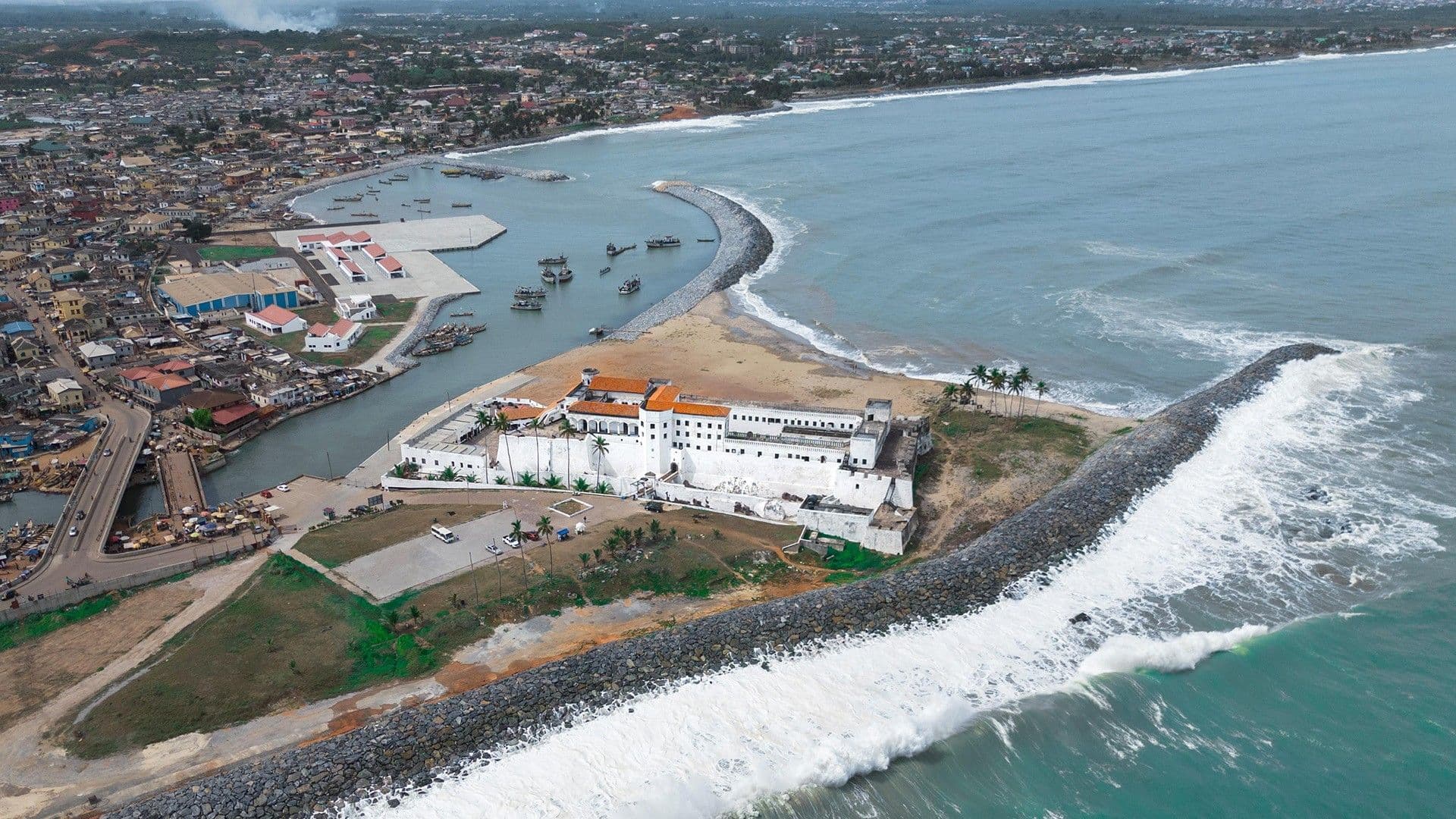 Wildlife and nature of Atlantic Africa